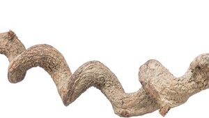 TRIXIE ZITSTOK HANGEND DRAKENHOUT 36 CM DIA 2,5 CM
